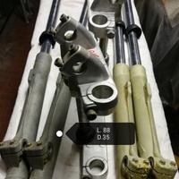 Ancillotti Aspes Ceriani