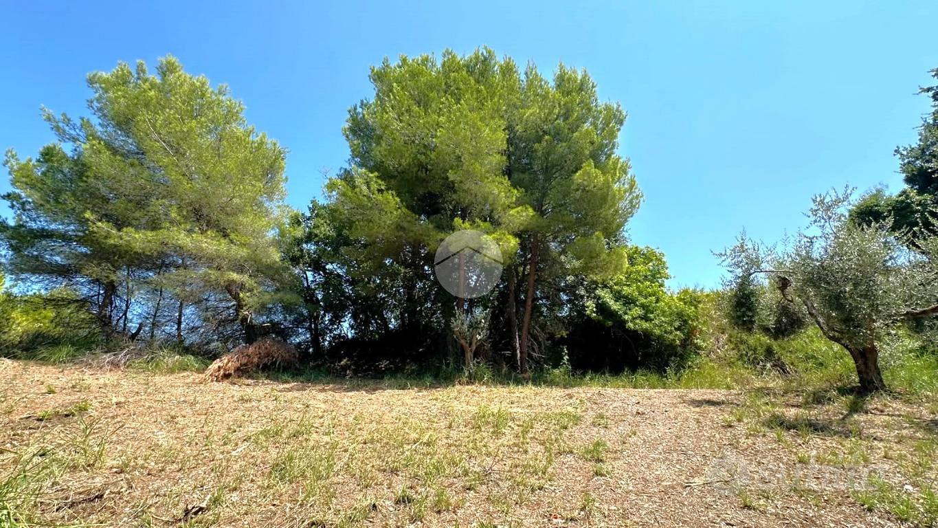 TER. AGRICOLO A GROTTAMMARE - Vista 2