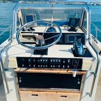 Boston whaler 22