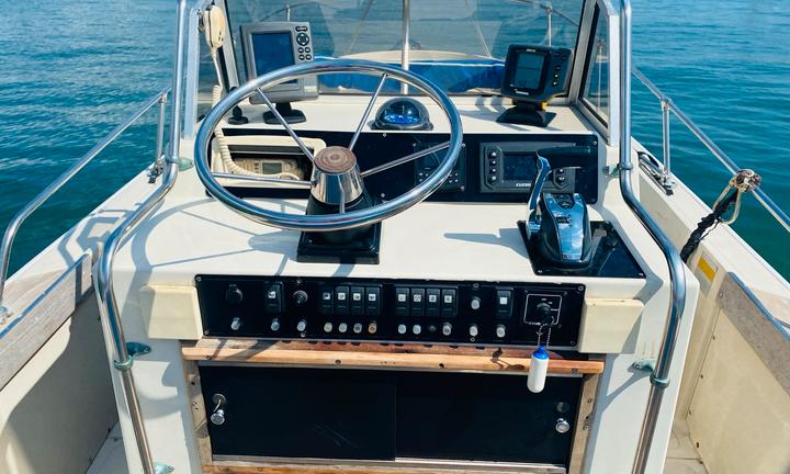 Boston whaler 22