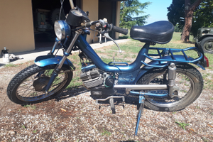 Oscar college - termica 65- carb 19 sha