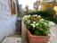 Immagine 28