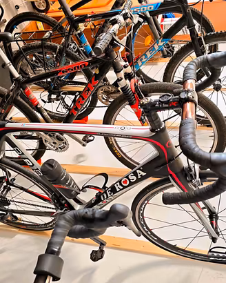 de rosa 888