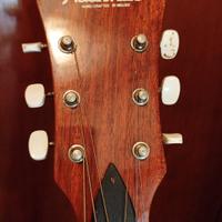 chitarra acustica amplificata Nashville 