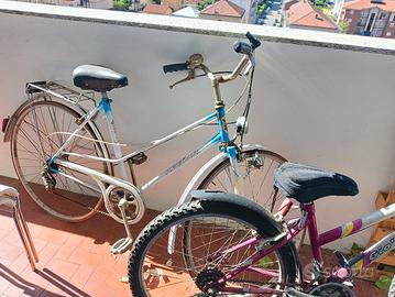 bicicletta vintage Regina cambio Shimano 