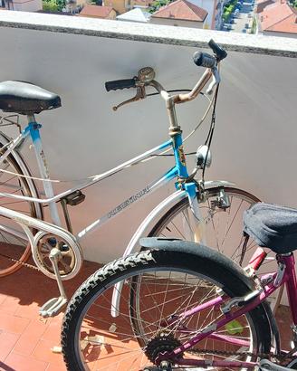 bicicletta vintage Regina cambio Shimano 