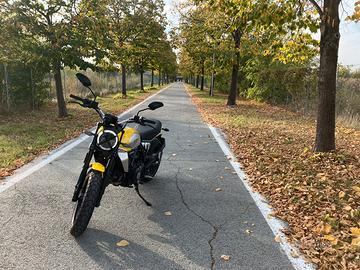 Ducati Scrambler 800 Icon '25