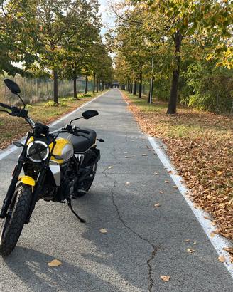 Ducati Scrambler 800 Icon '25