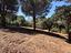 Immagine 13