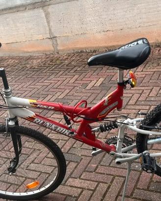 Bicicletta