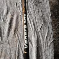Canna bolognese falcon venere nera