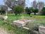Immagine 17