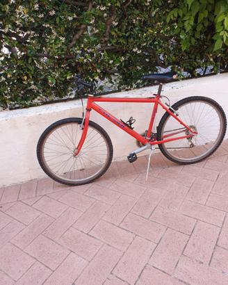 Bicicletta  Chesini