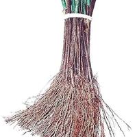 BARBATELLE  DI  CANNONAU