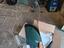Immagine 2