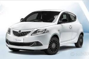 Ricambi usati lancia Ypsilon delta Musa 2005.22