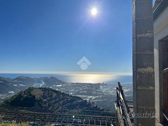 TER. AGRICOLO A TAGGIA