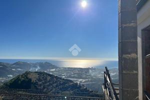 TER. AGRICOLO A TAGGIA