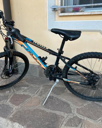 Mtb bambino