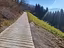Immagine 11