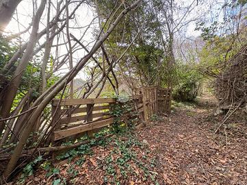 TER. AGRICOLO A SANT'OLCESE