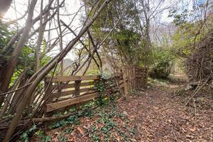 TER. AGRICOLO A SANT'OLCESE