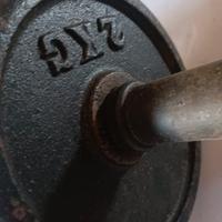 Manubri pesi gommati e pesi