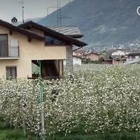 Casa vacanza CIR "0033" CIN: IT007031C2G375LF7H