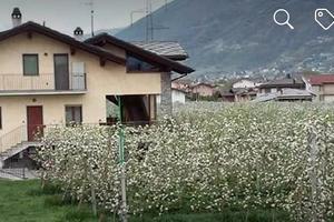 Casa vacanza CIR "0033" CIN: IT007031C2G375LF7H