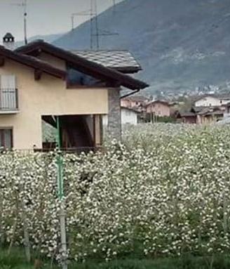Casa vacanza CIR "0033" CIN: IT007031C2G375LF7H