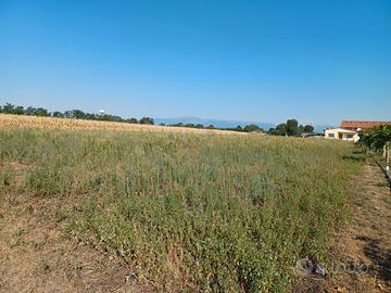 Terreno agricolo 4000 mq