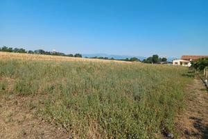 Terreno agricolo 4000 mq