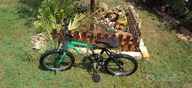 Bici Mtb Dino da bambino (raggio 16)
