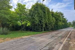 Immobile in asta di 14330 m² a Pordenone