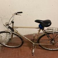 Bici Regina da uomo