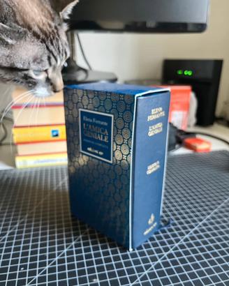 L’amica Geniale - Elena Ferrante edizione completa