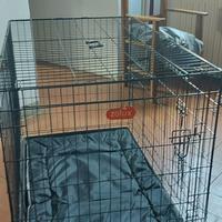 kennel per cani taglia media e grande.