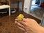 Immagine 6