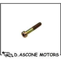 Vite Supporto Marmitta Ducati Monster