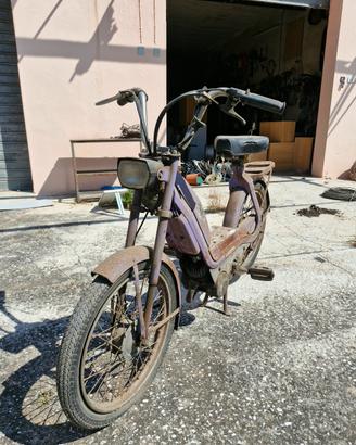 RIZZATO CALIFFO 50CC