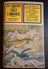 Libro"Lo spirito delle sabbie gialle"