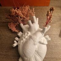 Vaso cuore anatomico SELETTI x Marcantonio 