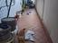 Immagine 4