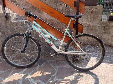 bicicletta