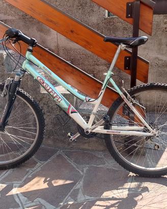 bicicletta