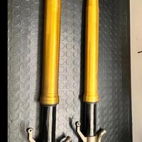 forcelle ninja  zx10r 