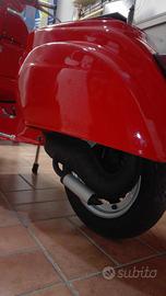 Special 50 cc