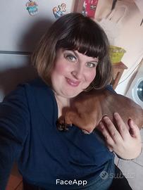 Pulizie babysitter guardare un anziana