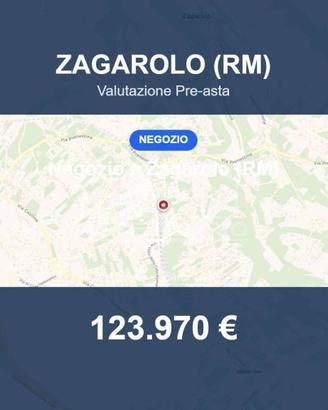 Immobile in asta di 150 m² a Zagarolo