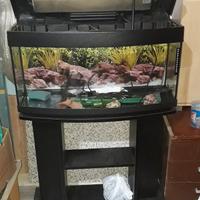 acquario 90 lt vetro curvo